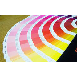 Spot Color Label Printing Services